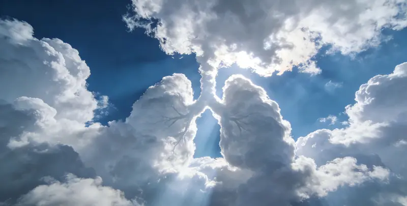 铜陵肺癌靶向120基因检测（组织）图片1