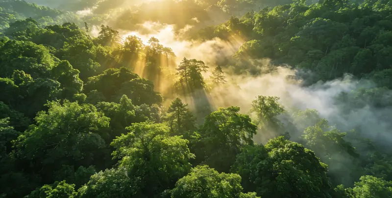 铜陵肺癌12基因ctDNA突变检测(血液）图片1