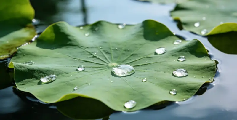 铜陵乳腺癌21基因mRNA表达分析图片1