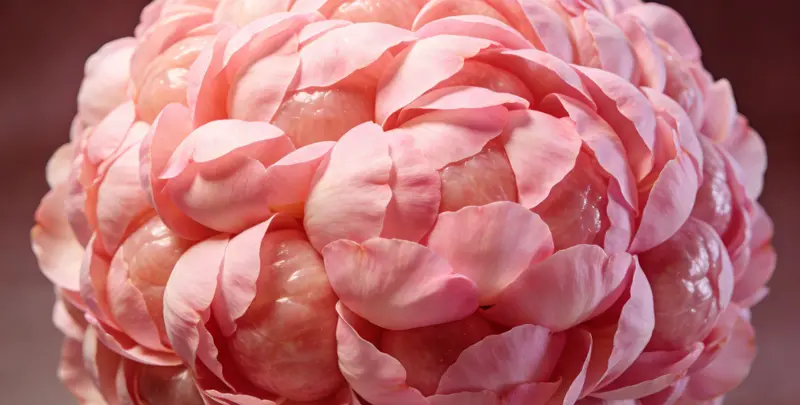 铜陵BRCA1/2乳腺癌卵巢癌基因检测图片1